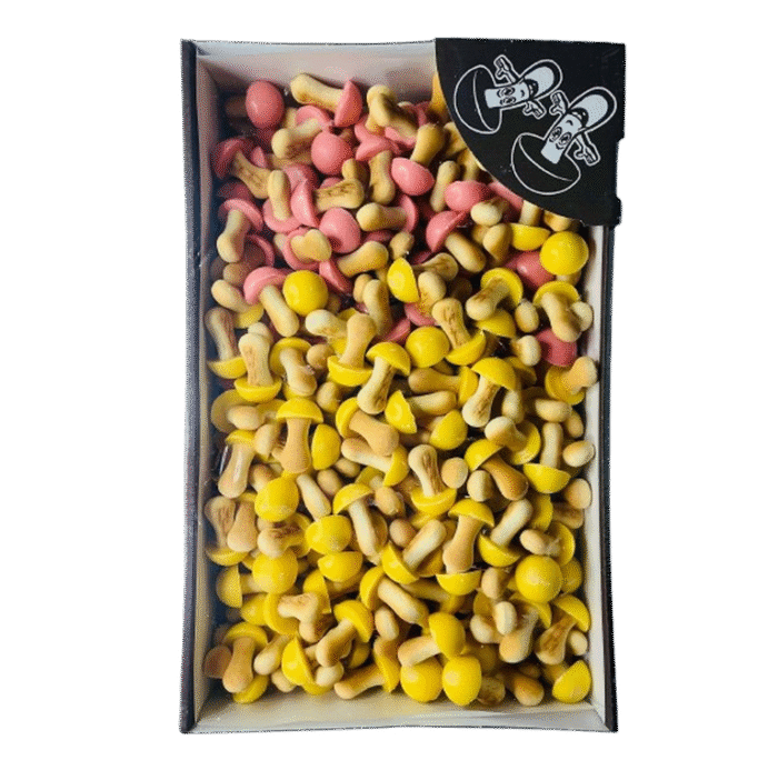 WESOŁE GRZYBKI TRU-BAN 1 KG
